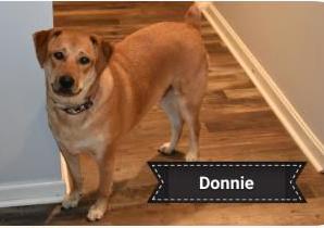 Donnie.jpg